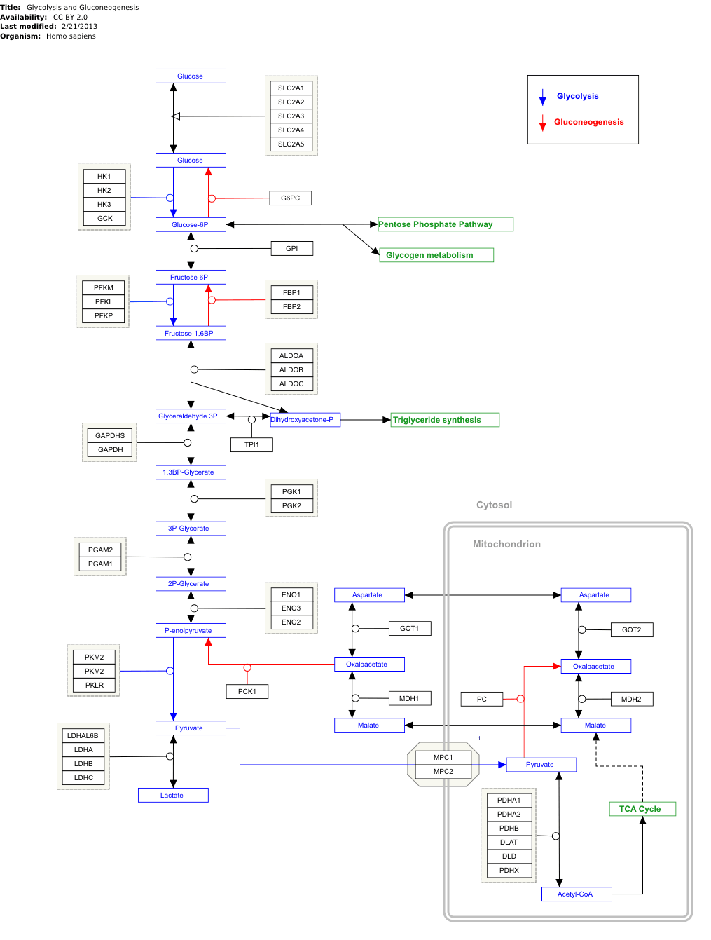 WikiPathways